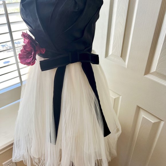 White House Black Market Strapless Tulle Party Dress - Picture 3 of 14